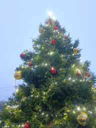 IMG_20251130_202102