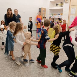 IMG_20260201_161114